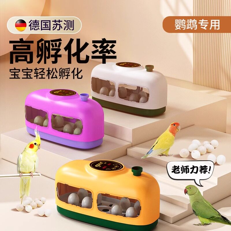 鹦鹉蛋孵化器鸟蛋孵蛋器小型家用受精蛋专用孵化箱玄凤金刚鹦鹉