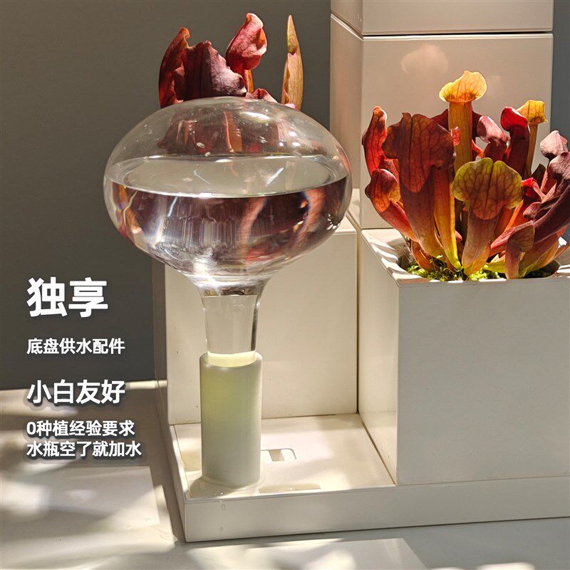 瓶子草专用LeGrow办公室桌面花盆食虫植物茅膏菜含补光灯定时开关