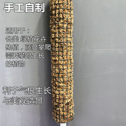 水苔棒水苔柱植物攀爬棒龟背竹海芋秋海棠白锦龟背竹水苔盒水苔墙