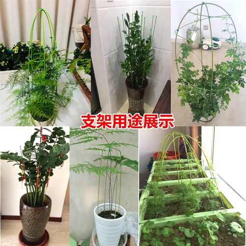 园艺铁丝线金钱树蔬菜瓜果爬藤支架花卉植物支撑杆兰花枝条固定架