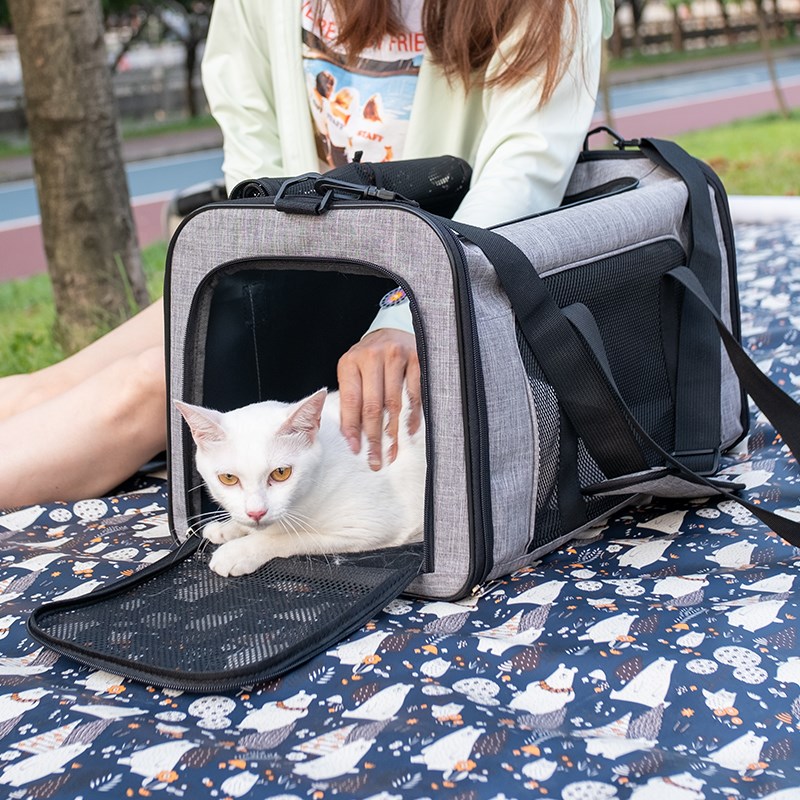 猫包外出便携大容量透气旅行包折叠车载狗狗猫咪宠物家居狗猫窝。