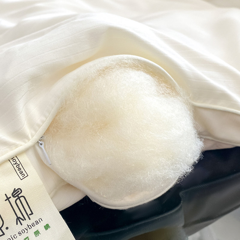 A类大豆纤维被子被芯夏凉被加厚保暖冬被春秋棉被夏季单人空调被