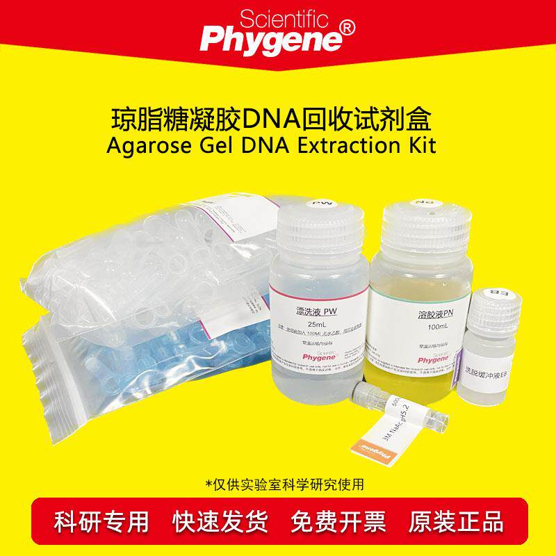 琼脂糖凝胶DNA试剂盒+100T/200T+科研试剂+[PH0208+PHYGENE]