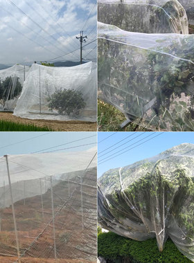 果树防虫网网罩莲雾水果花卉防鸟网室防风塑料大棚杨梅树脐橙纱网