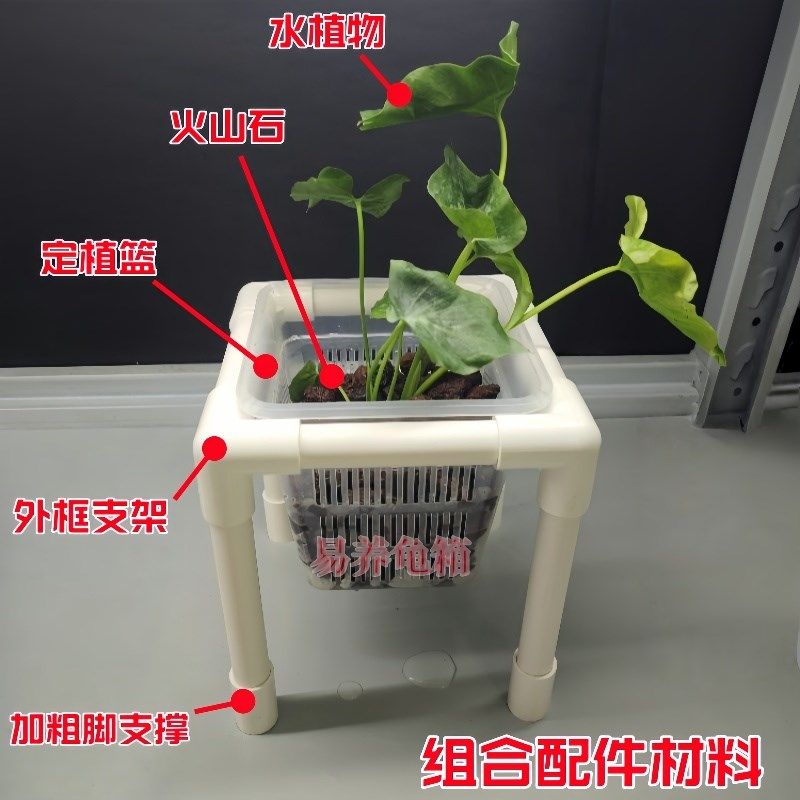 周转箱生态龟缸植物定植篮支架水培支架龟箱造景绿植种植盒架子图片
