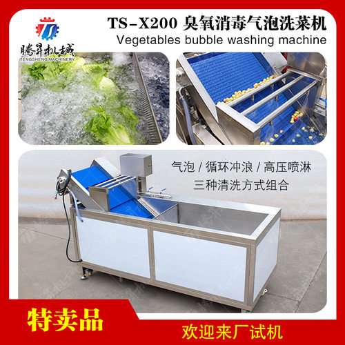 现货供应辣椒清洗机 枸杞清洗生产设备 净菜加工流水线配套清洗机
