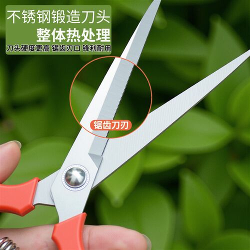 摘果剪稀果剪葡萄疏花剪修花修枝剪柑橘子花椒采摘摘果剪刀修花剪