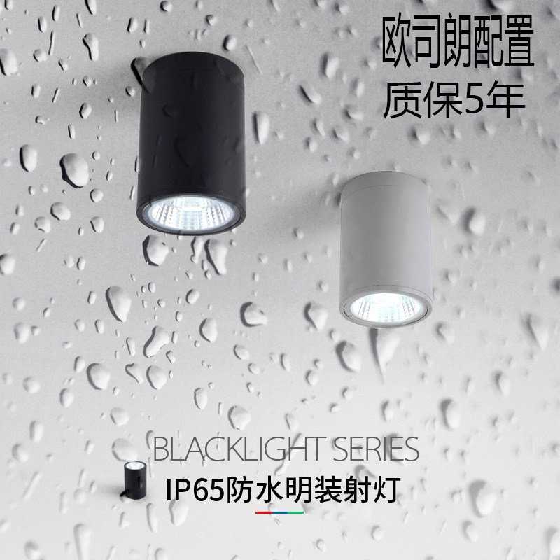 明装防水射灯筒灯沐浴卫生间阳台圆形吸顶灯雨棚酒店地下室户外灯
