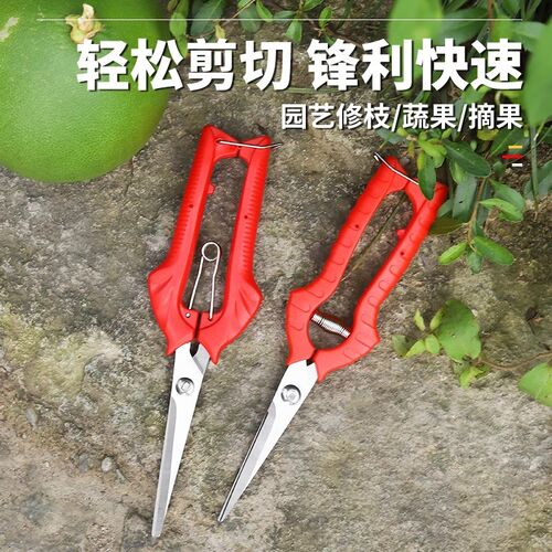 园艺剪盆栽专用剪刀采花剪子弹簧修枝蔬果园艺疏T摘果小剪树枝稀