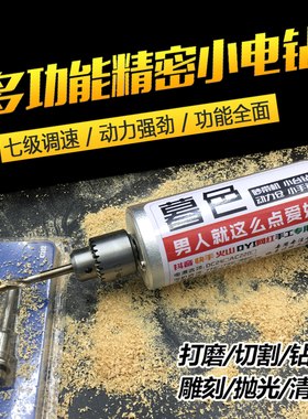 暮色小手钻电钻迷你抛m光打磨555电机电动磨刀机DIY砂磨机24V12