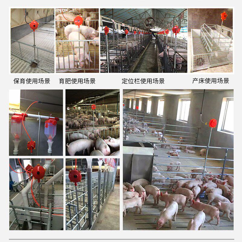 牧多多养殖场水位控制器猪牛羊用饮水碗兽用饮水器水碗水盆套餐