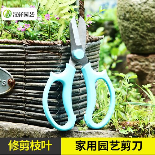 汉轩园艺花艺剪刀宽头家用花剪盆栽修剪鲜花花枝树枝修花修枝工具