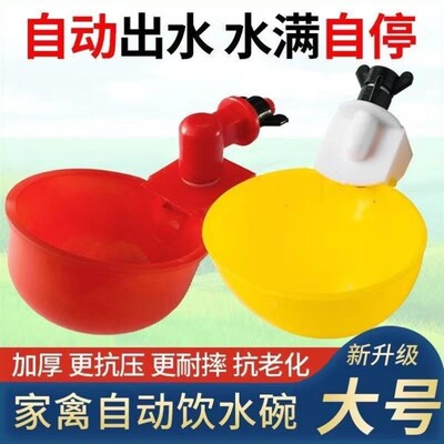 养鸡用自动饮水器鸡鸭鹅饮水碗喝水碗鹌鹑家禽鸟喂水神器雏芦丁鸡
