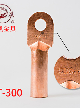 正品凤凰酸洗堵油铜接头 DT-300MM2 平方铜鼻子 铜线耳 【国标】