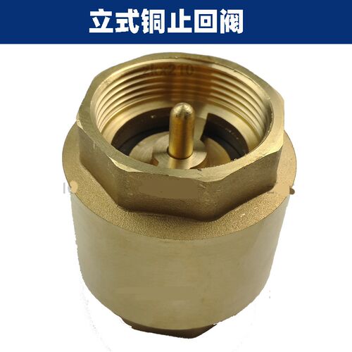 全铜立式止回阀单向阀横卧式水表前止逆阀4分6分1寸DN15 20 25