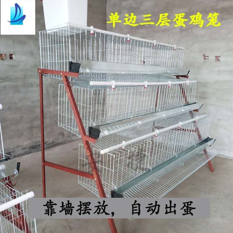 鸡笼子单边三层阶梯式鸡鸭笼子养殖笼家用户外生蛋鸡笼家用不生锈