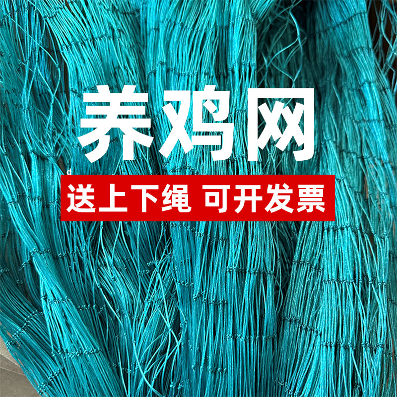 拦鸡网塑胶网围栏网尼龙网护栏网防护网隔离网养鸡网安全网菜园网