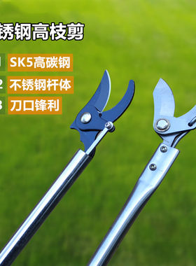 德国进口高空剪树枝专用剪刀修枝剪不锈钢果枝园林花剪伸缩高空剪