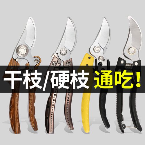 修枝剪园艺专用剪 刀枝花果树花剪修剪柑橘花卉园林工具大全绿化