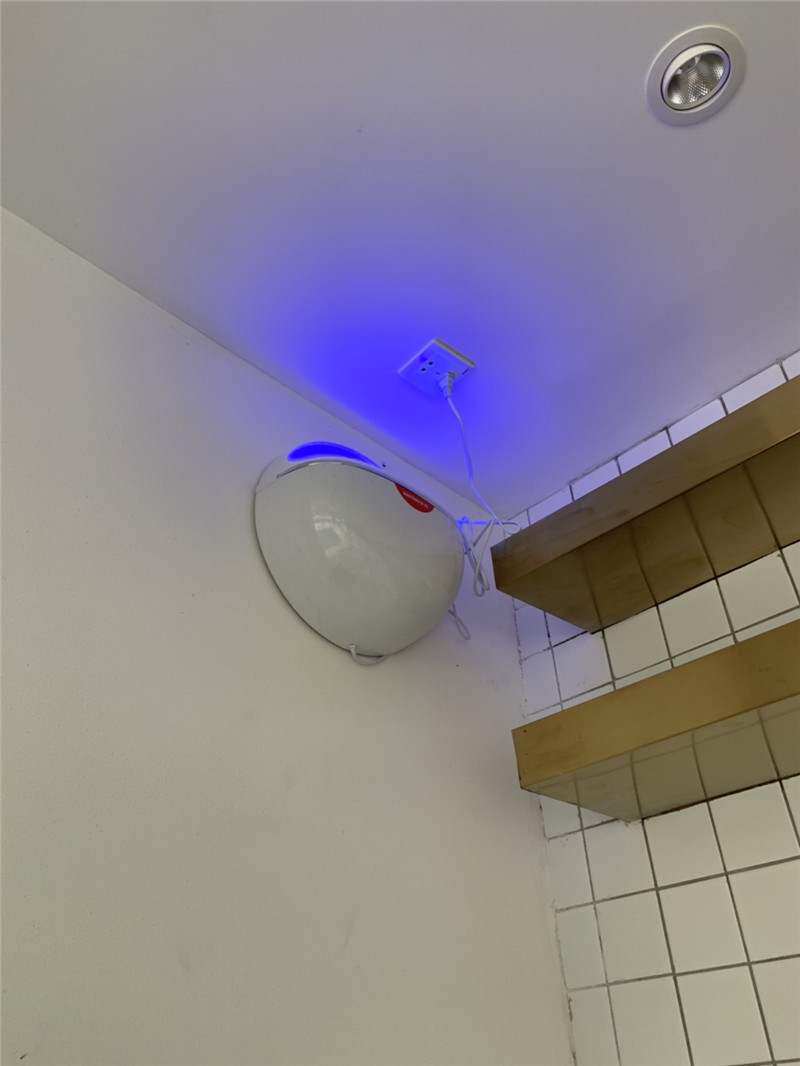 粘捕式灭蚊灯捕蝇机灭蝇灯灭蝇灯器餐厅饭店捕蚊器蚊蝇诱灭器