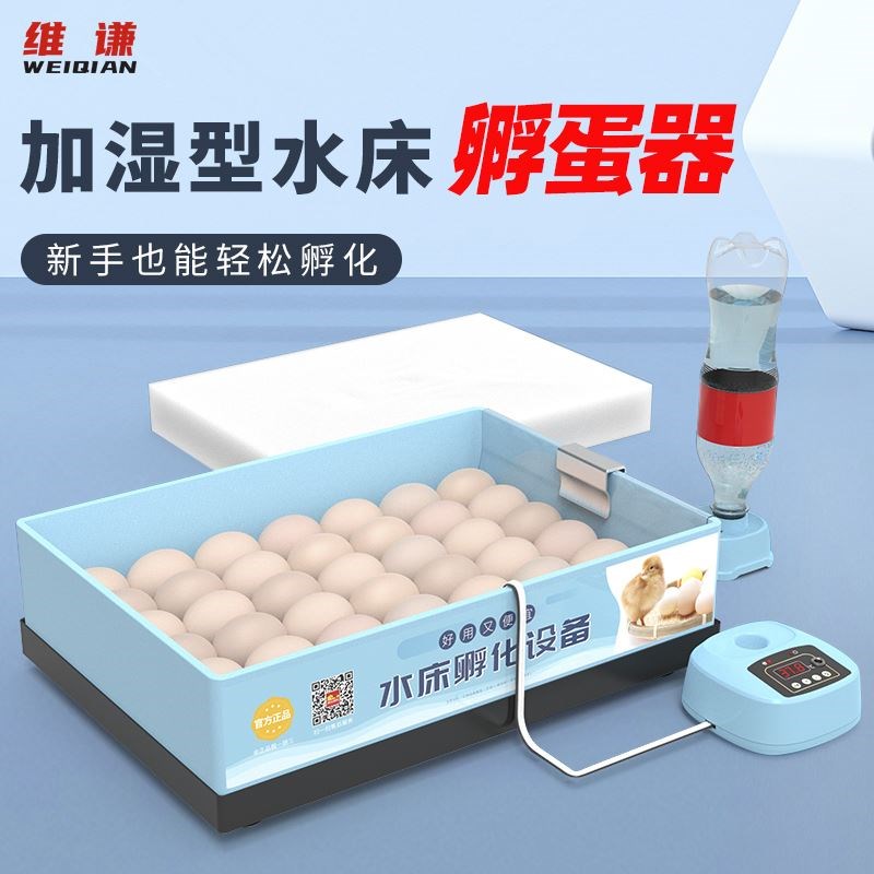 维谦水床孵化器小型家用迷你孵化机全自动智能小鸟蛋芦丁鸡孵蛋箱