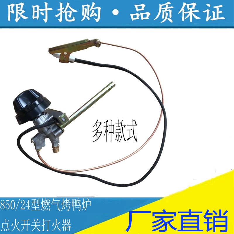 适用850型气碳两用烤鸭炉配件点火开关商用24型烤禽箱电子打火开
