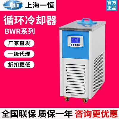 上海一恒BWR-03A/05A/10A/20A/30A循环冷却器循环实验室冷却泵