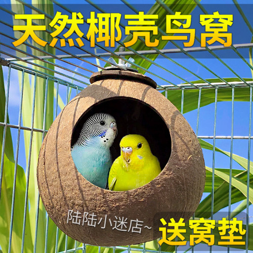 椰子壳鸟窝文鸟鹦鹉鸟巢宠物保暖草编窝虎皮牡丹小鸟玩具用品