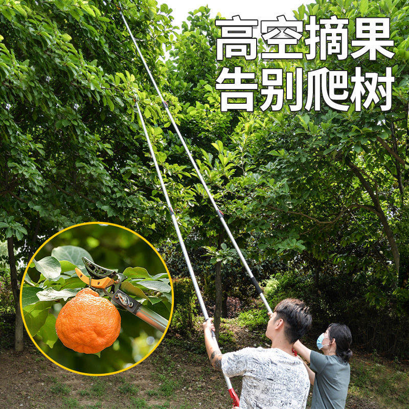 摘果神器高枝剪伸缩高空修枝剪家用摘荔枝龙眼香椿加长摘水果剪刀