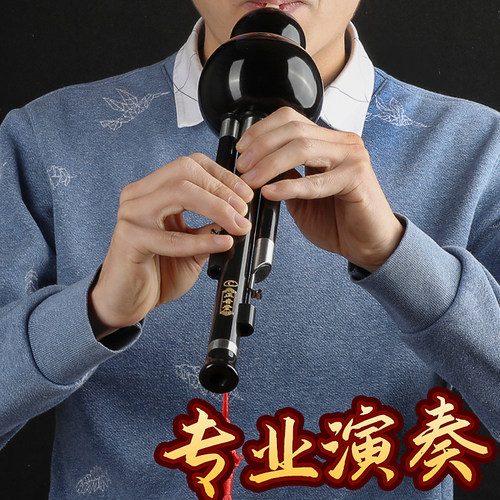 正音堂全黑檀葫芦丝乐器降B调C调成人儿童专业演奏大F大G调葫芦丝