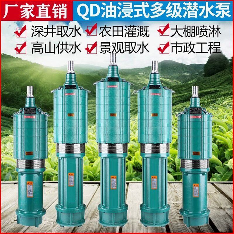 德国进口潜水泵220v家用纯铜高扬程100米深井水泵高压1寸2寸220v