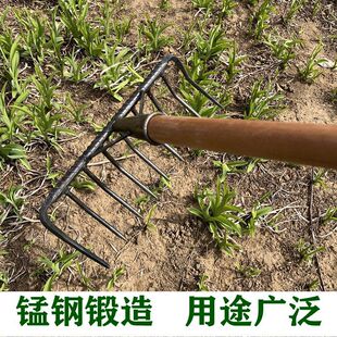 德国进口焊接加强钢钉耙耙草农用铁耙九齿钉耙老式搂草平地多功能