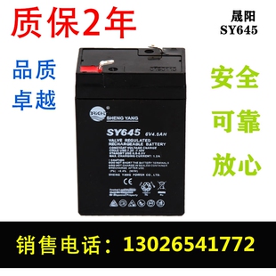 SHENGYANG晟阳蓄电池 SY640 6V4Ah玩具车童车 电子称用电瓶6v4.5