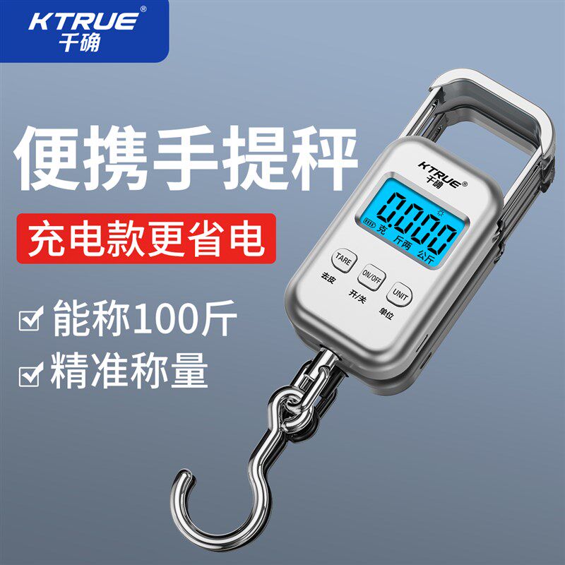 便携式手提电子秤2024新款精准弹簧克秤高精度称克商用随身称鱼器