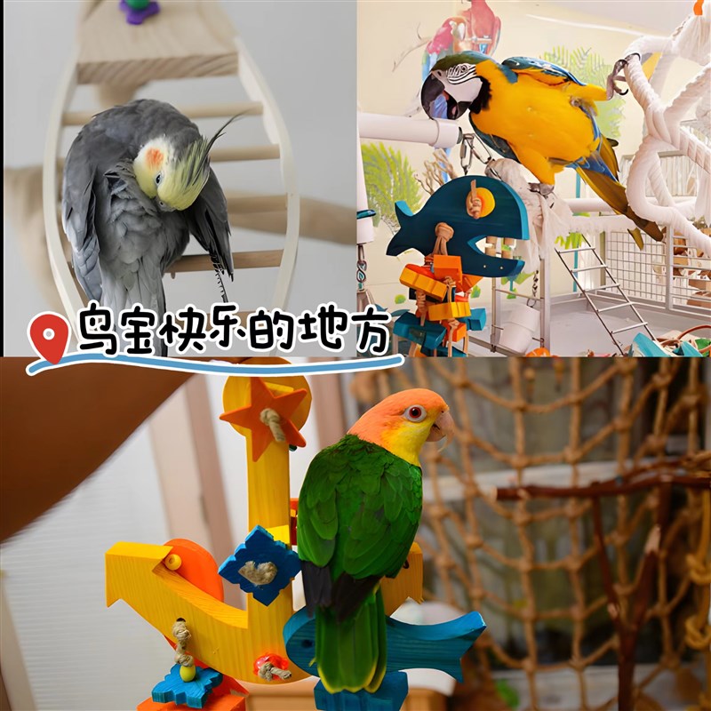 鹦鹉玩具鸟笼内挂串装饰解闷啃咬自嗨发泄达洋鸟笼6045ss配件大全图片