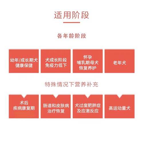 优妥乐妥益生菌新加坡宠物猫狗牛磺酸鼻支免疫力促进消化营养补充
