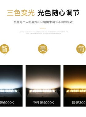 透镜灯条灯板长条圆形三色光调光LED吸顶灯灯芯驱动磁铁螺丝安装