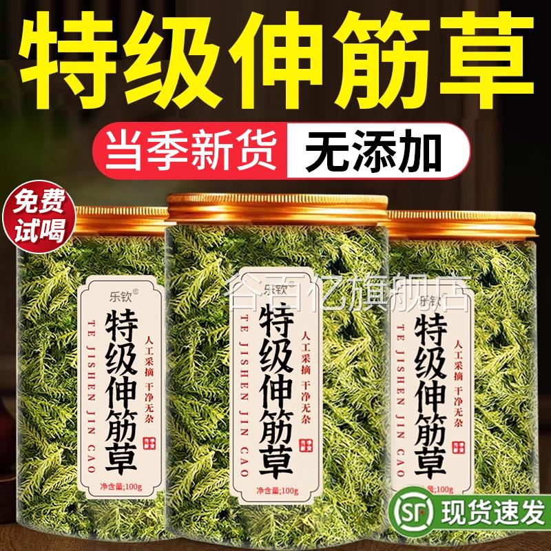 特级伸筋草中药材500克伸正品旗舰店野生小筋草中药透骨草正品zz