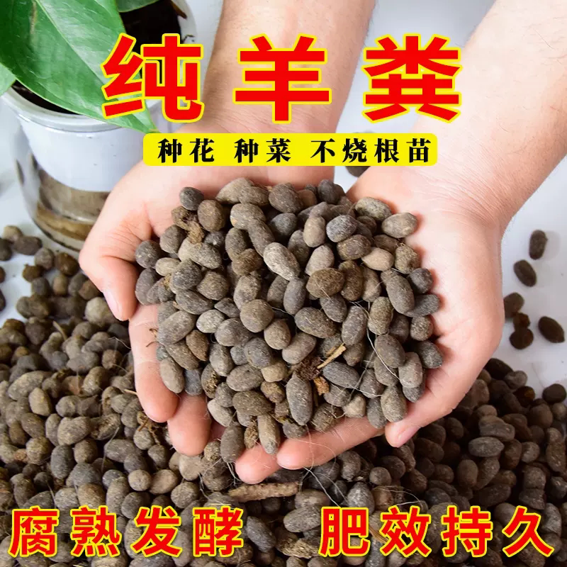 纯干纯羊粪蛋蛋发酵有机肥颗粒羊屎蛋农家肥花卉果蔬种菜专用肥料