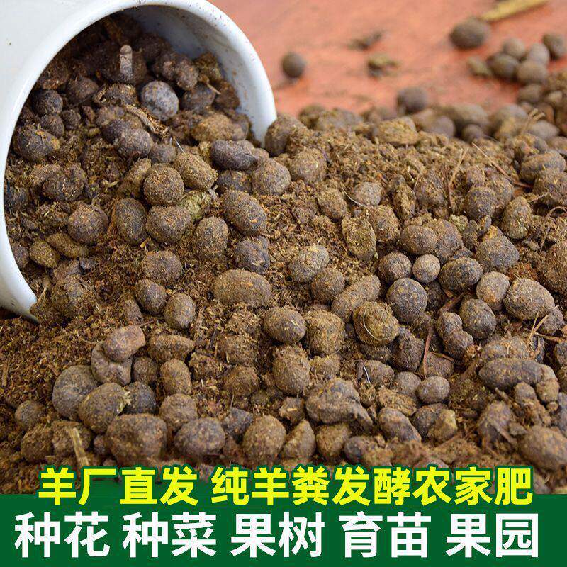 【陕北农家纯羊粪】山羊羊粪羊粪蛋改善土壤有机颗粒羊屎蛋