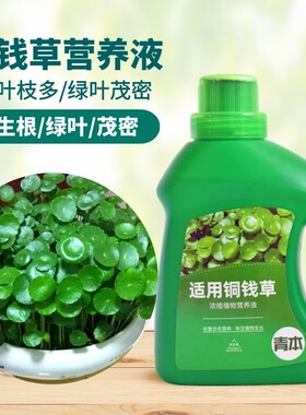 铜钱草专用肥营养液家用养花肥料盆栽通用土培水培钱币草金钱莲肥