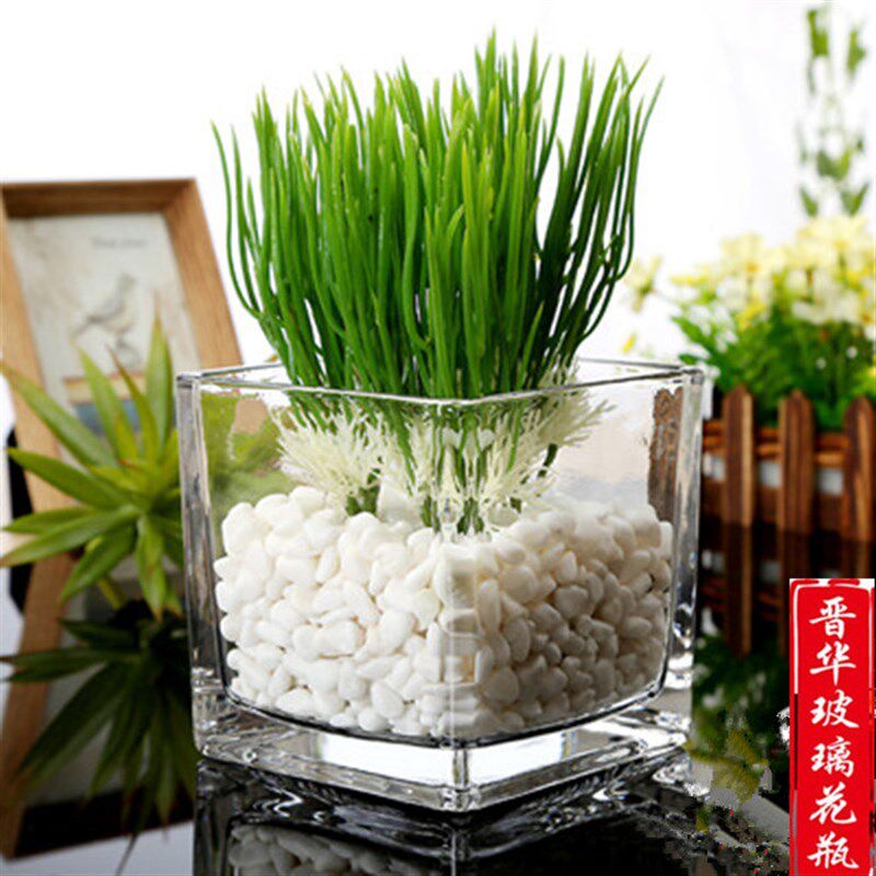 加厚玻璃花瓶长方形特大号花盆鱼缸水培水养植物器皿造景容器包邮