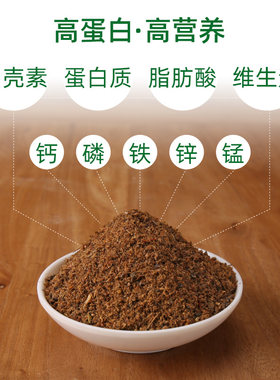 鸟用蚕蛹蚂蚱粉画眉鹩哥百灵点頦绣眼鸟食鸟饲料鸟用营养料100g