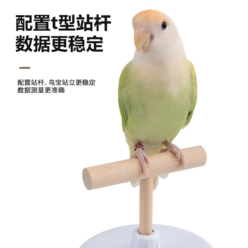 优嗖鹦鹉体重称T型站台互动克称套装体重记录电子小宠用品玄凤
