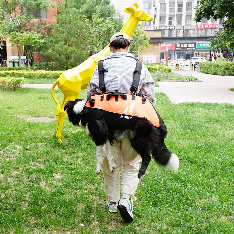 宠物中大型犬背包背狗神器背狗包双肩包便携外出助行金毛大狗背包