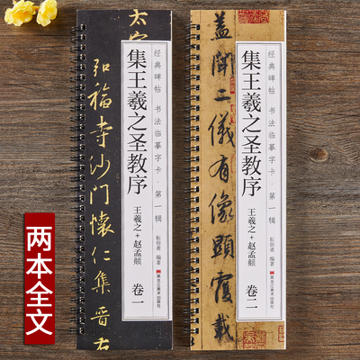 王羲之书圣教序赵孟俯临集王圣教序行书近距离书法临摹字卡原大版