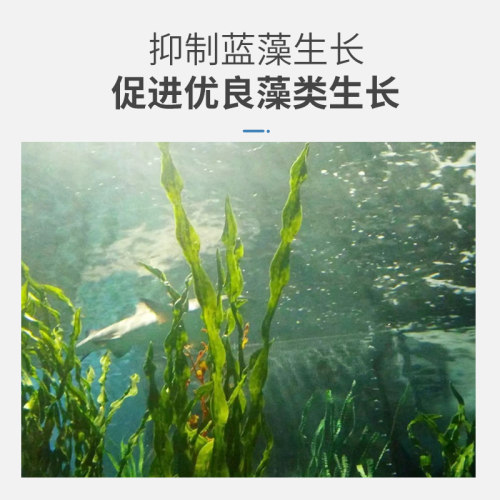 2000亿枯草芽孢杆菌水产养殖鱼虾蟹塘专用净化水质分解有机质肥水