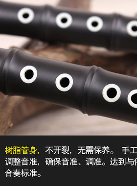 巴乌乐器竖吹小学生入门大音量喇叭g/f调专业演奏巴乌送教程收纳
