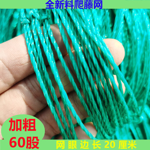 攀爬网瓜蒌葡萄丝瓜吊瓜豆角网黄瓜种植网大棚网植物百香果爬藤网