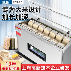 蓝莓牌全自动米砖真空食品包装机乾湿两用商用抽鸡鸭鹅肉海鲜乾货